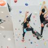 Rock Climbing 🧗 攀石與抱石（Bouldering）：極限核心肌群鍛鍊與牆上象棋破線班